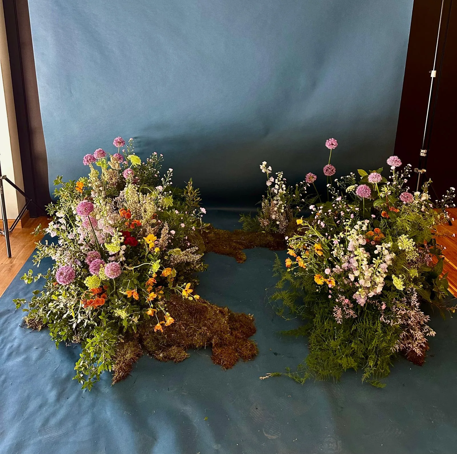 Composición colgante con plantas de aire