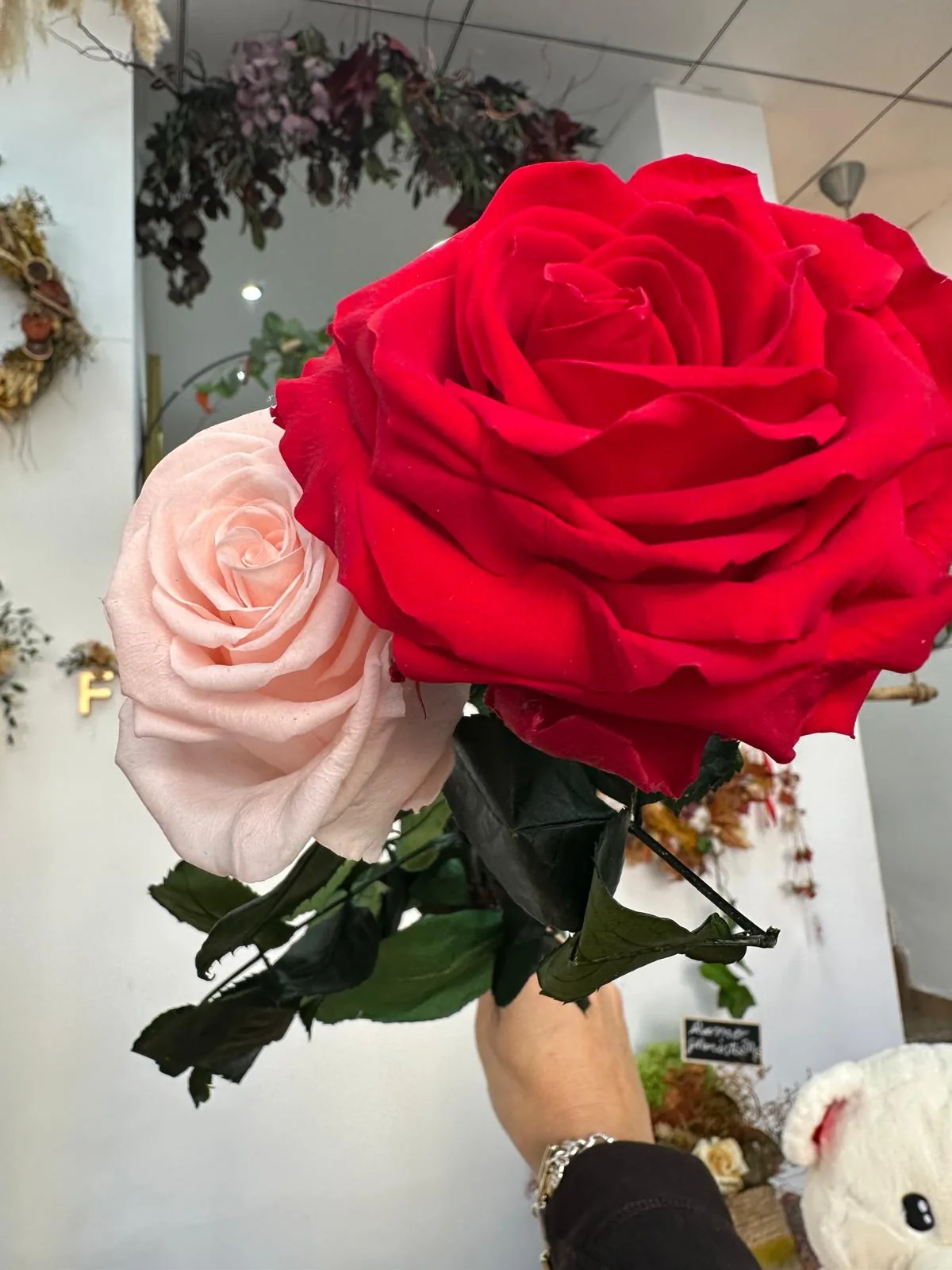 Rosa preservada premium de tallo largo